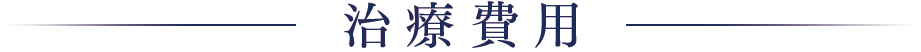 治療費用