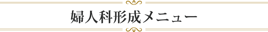 婦人科形成メニュー