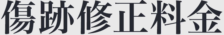 傷跡修正料金