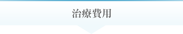 治療費用